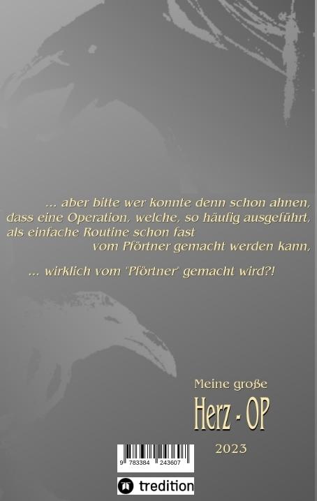 Rückseite: 9783384243607 | Odyssee im Krankenhaus | Mein Herz in meiner Hand | Dirk Viessmann