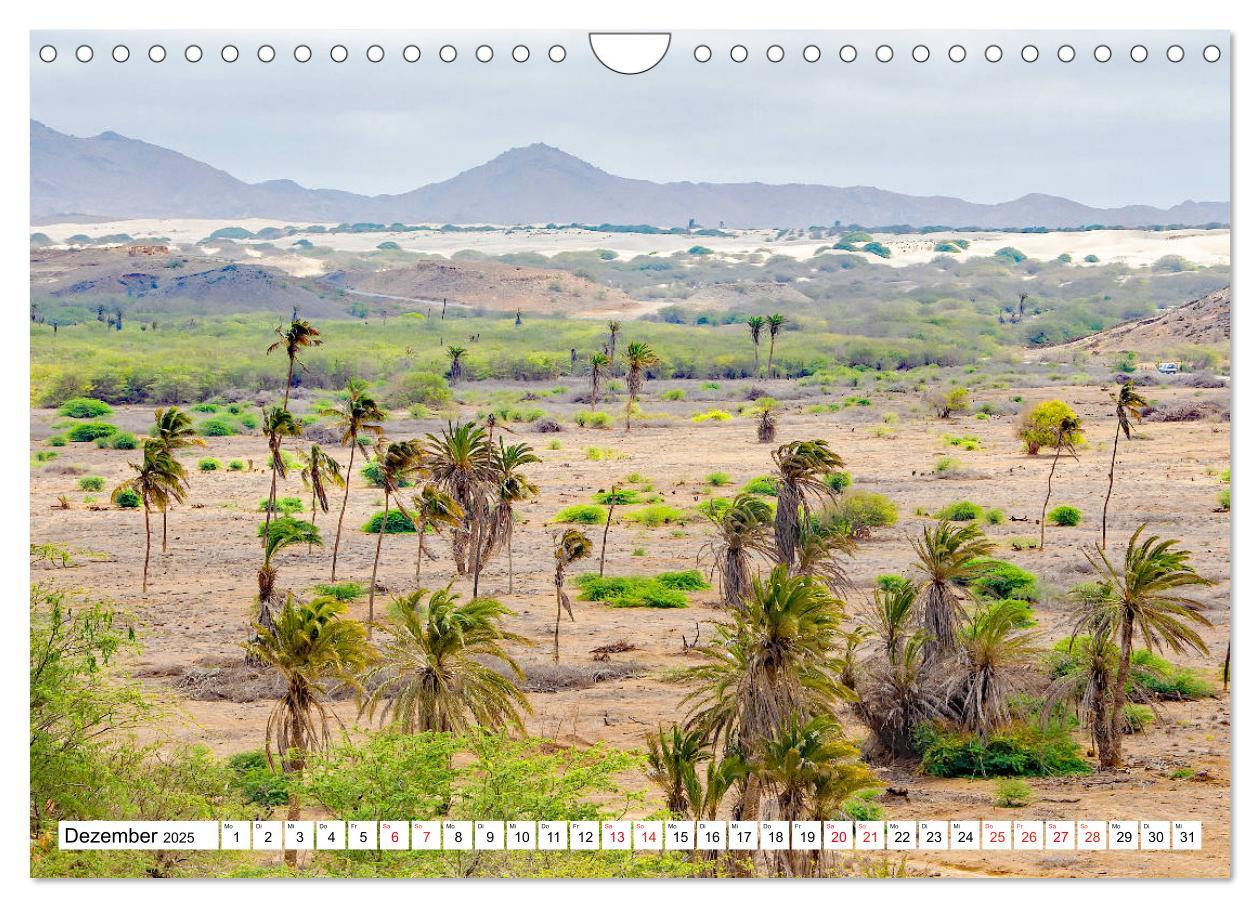 Bild: 9783435217304 | Boa Vista - die drittgrößte Kapverdische Insel (Wandkalender 2025...