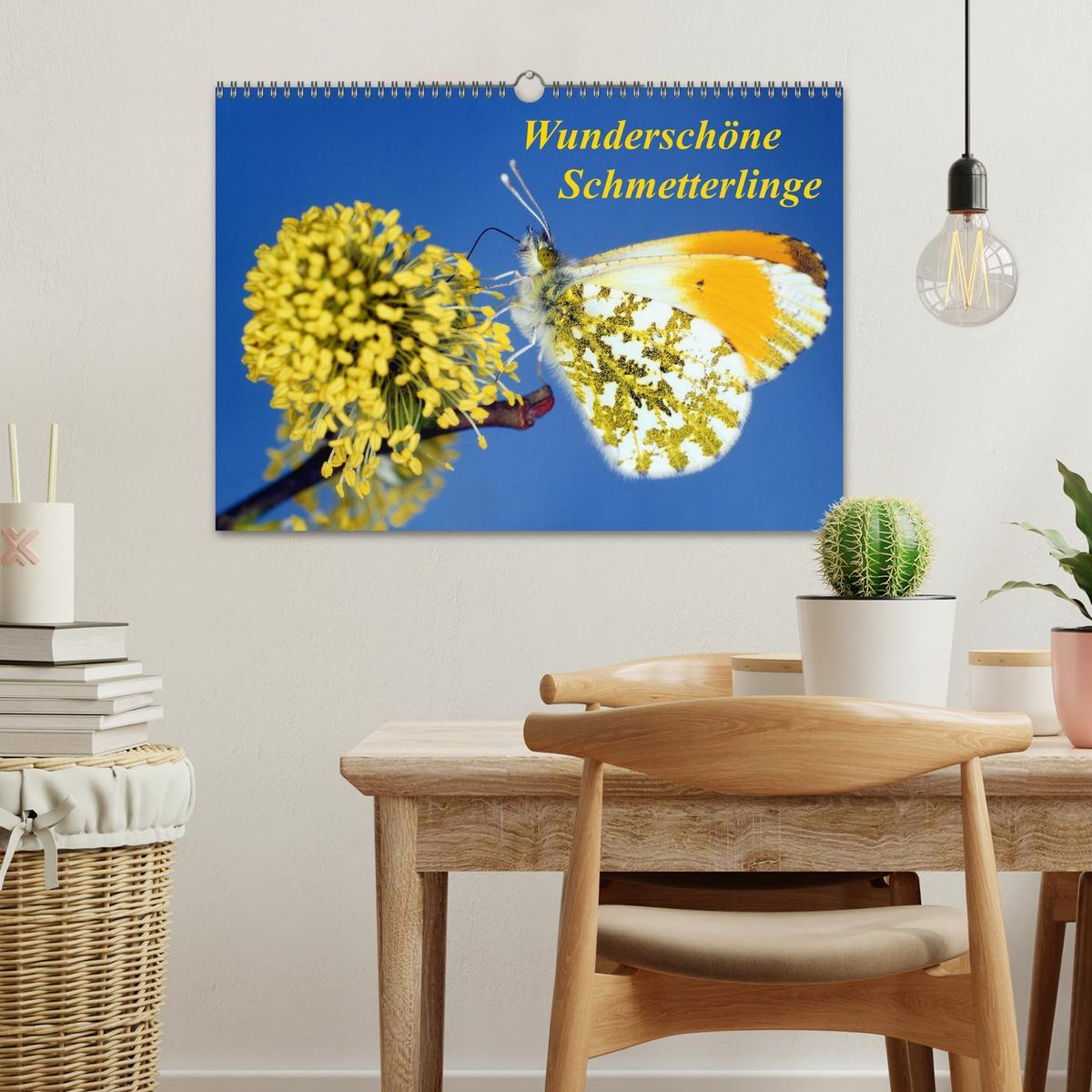 Bild: 9783435705894 | Wunderschöne Schmetterlinge (Wandkalender 2025 DIN A3 quer),...