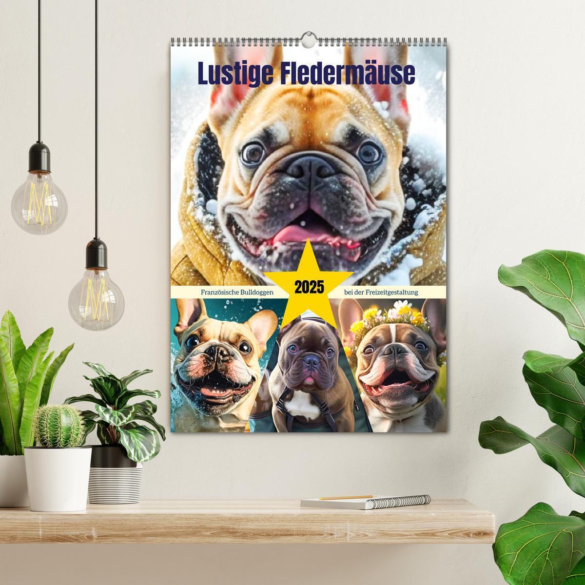 Bild: 9783435876884 | Lustige Fledermäuse. Französische Bulldoggen bei der...