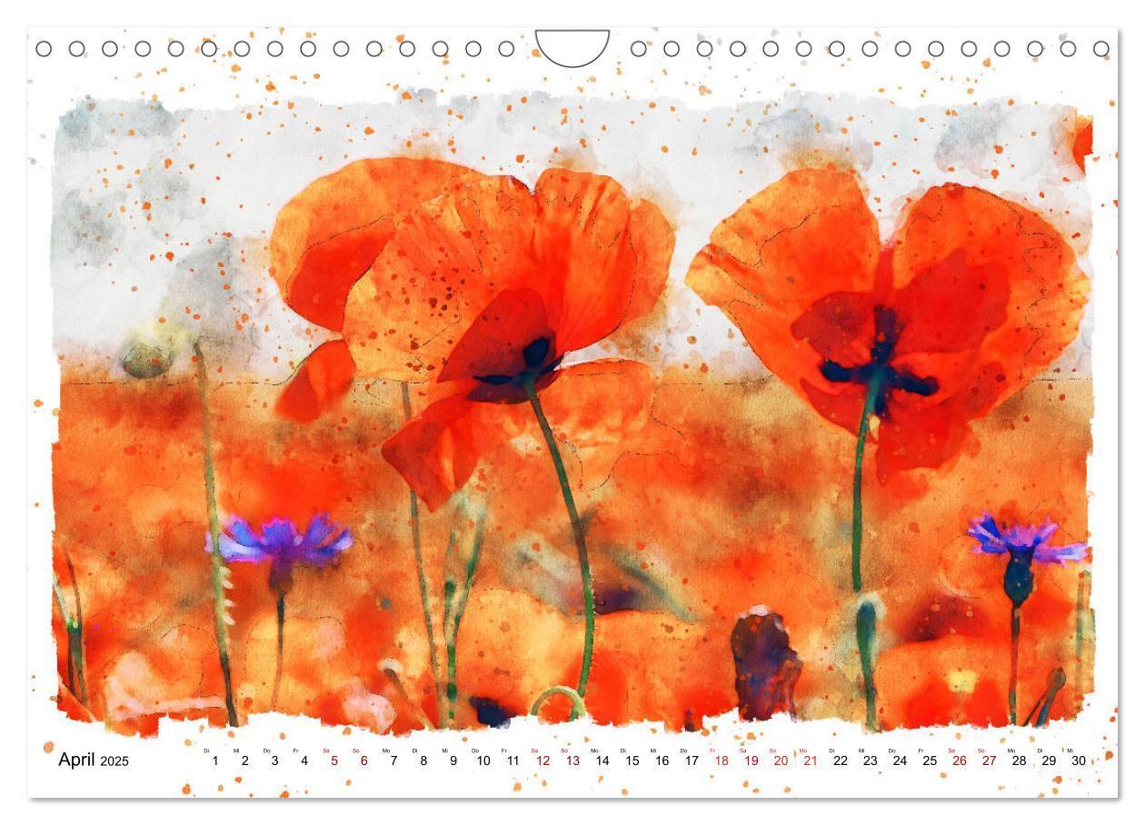 Bild: 9783435141241 | Mohnblüten in Aquarell (Wandkalender 2025 DIN A4 quer), CALVENDO...