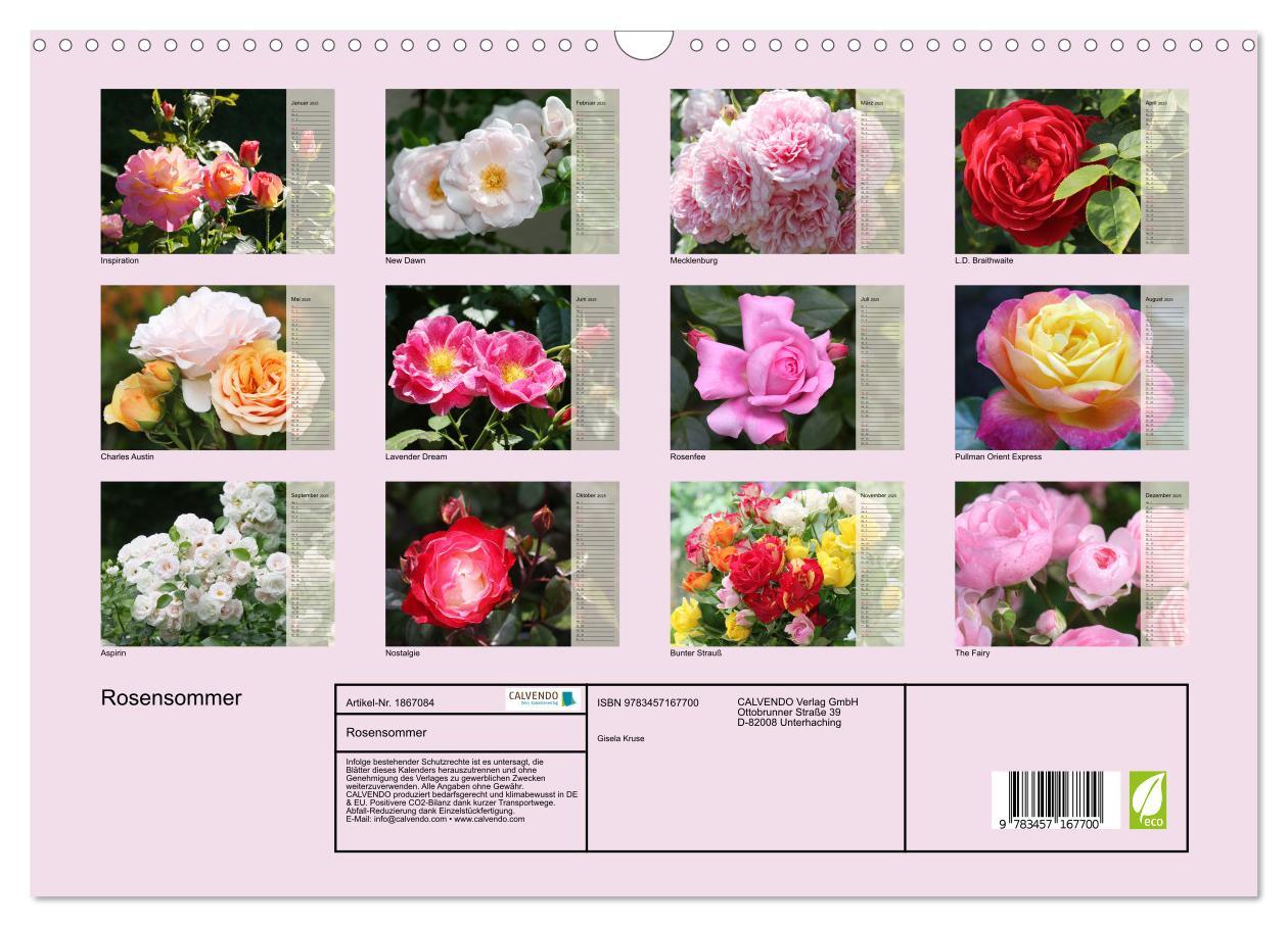 Bild: 9783457167700 | Rosensommer (Wandkalender 2025 DIN A3 quer), CALVENDO Monatskalender