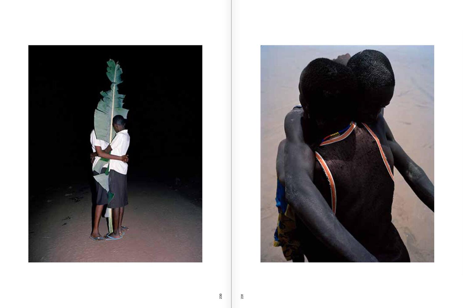 Bild: 9783791389783 | Viviane Sassen: Phosphor | Dawn Ades (u. a.) | Buch | 528 S. | 2023