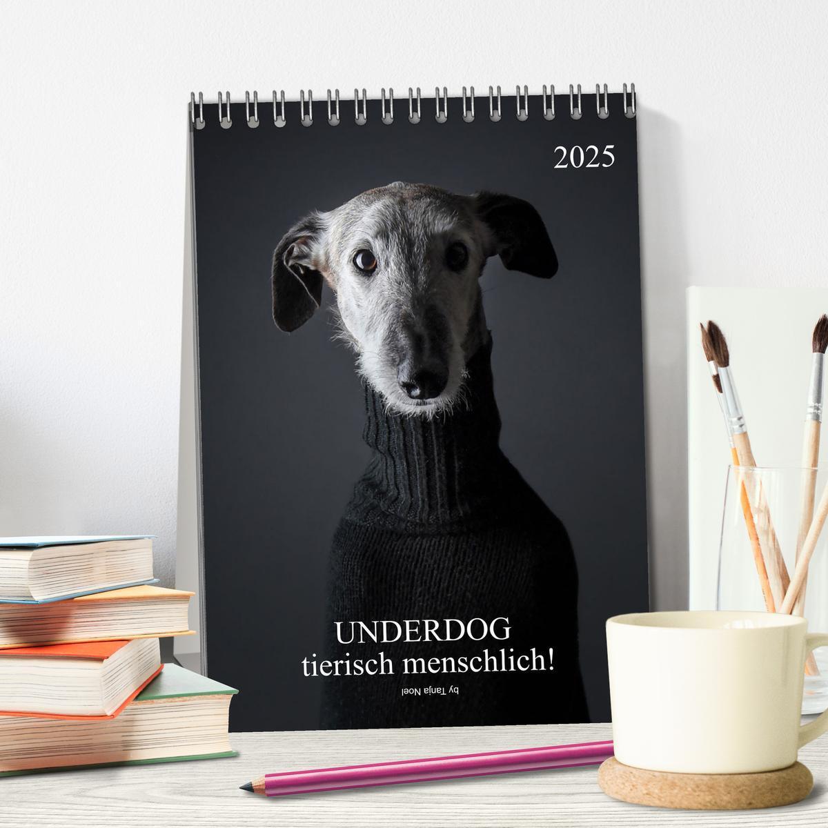 Bild: 9783435920884 | UNDERDOG - Windhundportraits (Tischkalender 2025 DIN A5 hoch),...