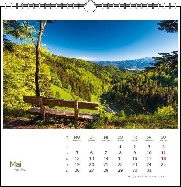 Bild: 9783861924135 | Schwarzwald 2025 | Postkarten-Tischkalender | Clemens Emmler | 13 S.