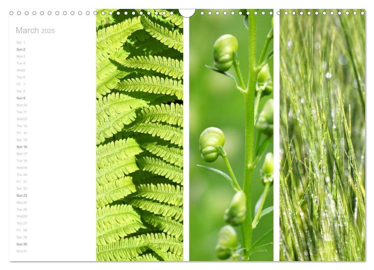 Bild: 9781325962907 | Natural Trios (Wall Calendar 2025 DIN A3 landscape), CALVENDO 12...