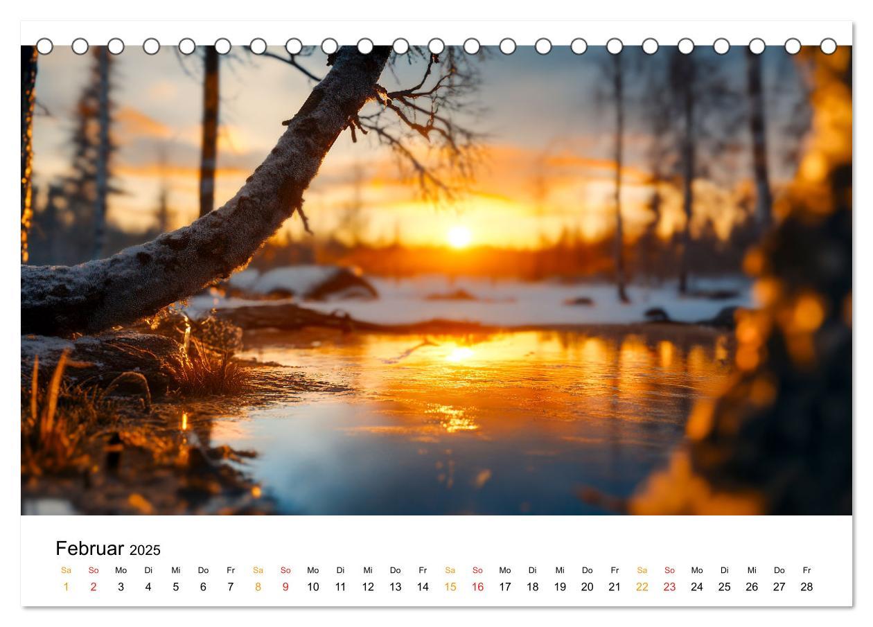 Bild: 9783457224809 | Mystik der Wälder (Tischkalender 2025 DIN A5 quer), CALVENDO...