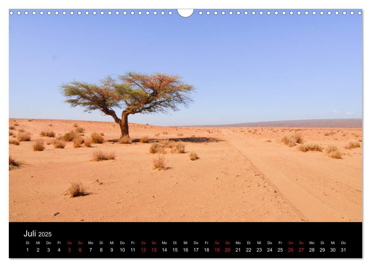 Bild: 9783435479597 | Sahara Wüstentrekking (Wandkalender 2025 DIN A3 quer), CALVENDO...