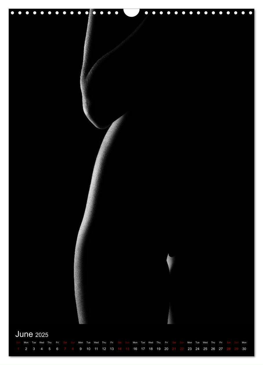 Bild: 9781325972951 | erotic shadows 2025 (Wall Calendar 2025 DIN A3 portrait), CALVENDO...