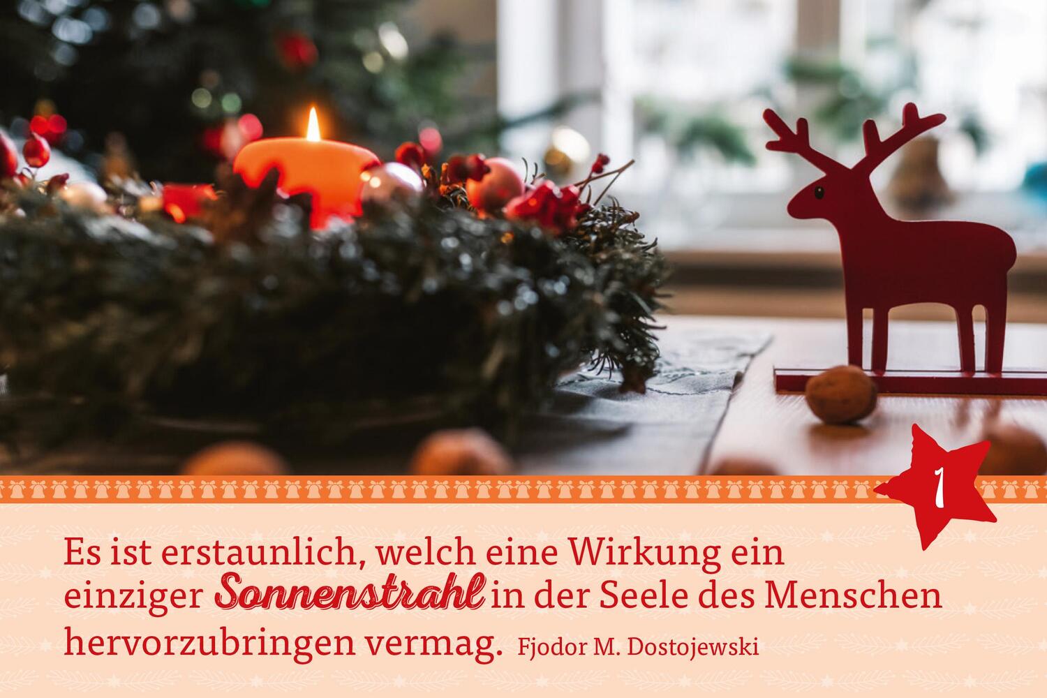 Bild: 9783451034831 | Hosentaschenadventskalender 2024 | Mit farbigen Fotos | Kalender