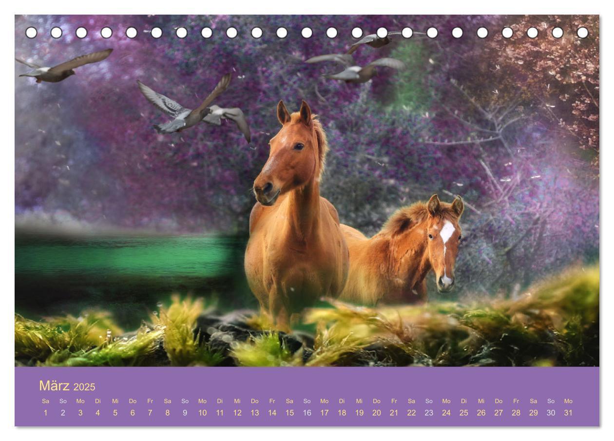 Bild: 9783435061044 | Von der Magie der Pferde (Tischkalender 2025 DIN A5 quer), CALVENDO...