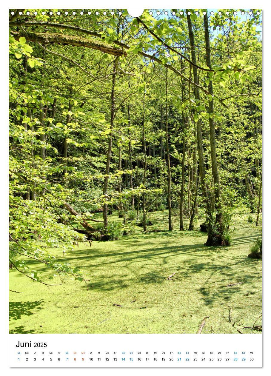 Bild: 9783435967704 | Insel Rügen - Kreide, Landschaft, Leuchttürme (Wandkalender 2025...