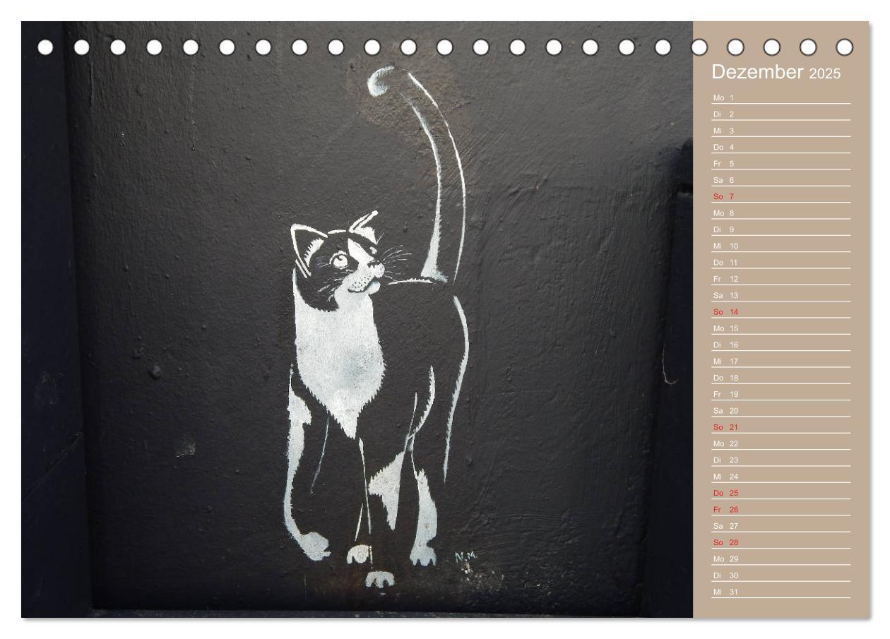 Bild: 9783435289288 | Flensburger Katzen (Tischkalender 2025 DIN A5 quer), CALVENDO...