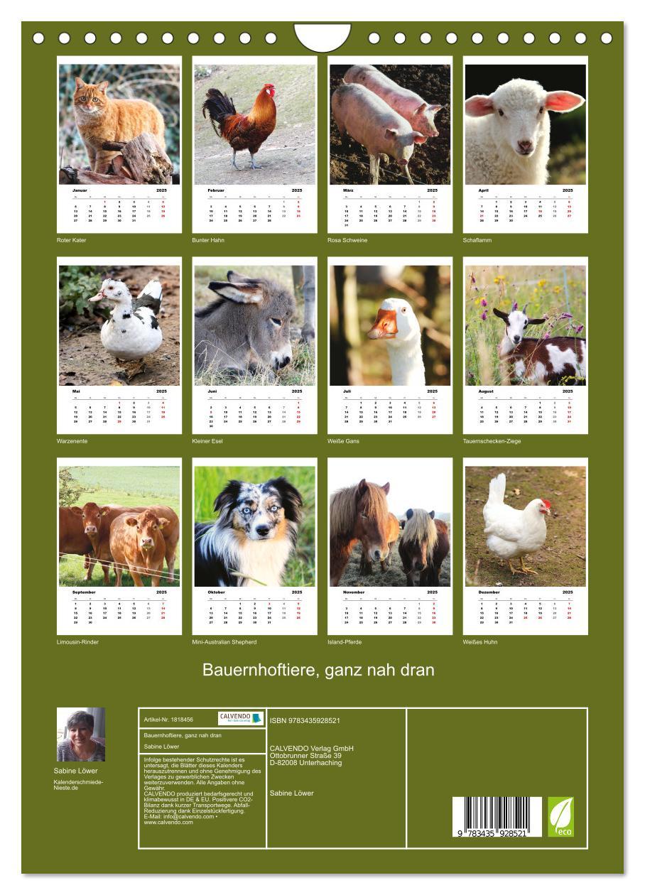 Bild: 9783435928521 | Bauernhoftiere, ganz nah dran (Wandkalender 2025 DIN A4 hoch),...