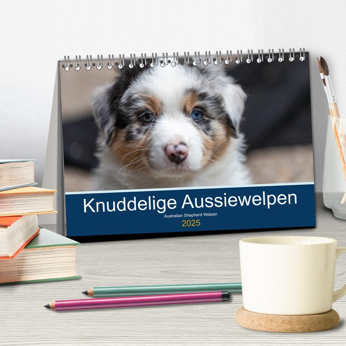 Bild: 9783435150335 | Australian Shepherd Welpen 2025 (Tischkalender 2025 DIN A5 quer),...