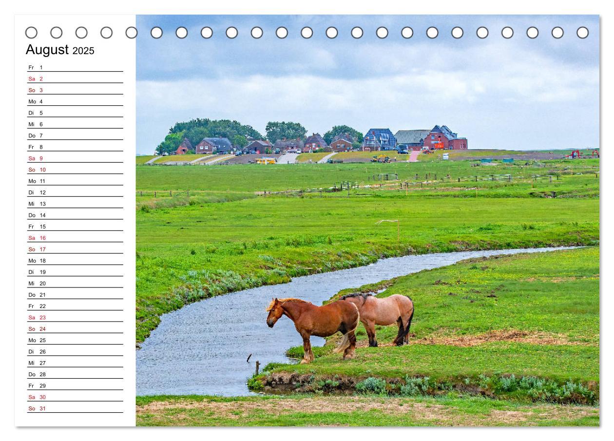 Bild: 9783435114870 | Hallig Hooge - Romantik Pur (Tischkalender 2025 DIN A5 quer),...