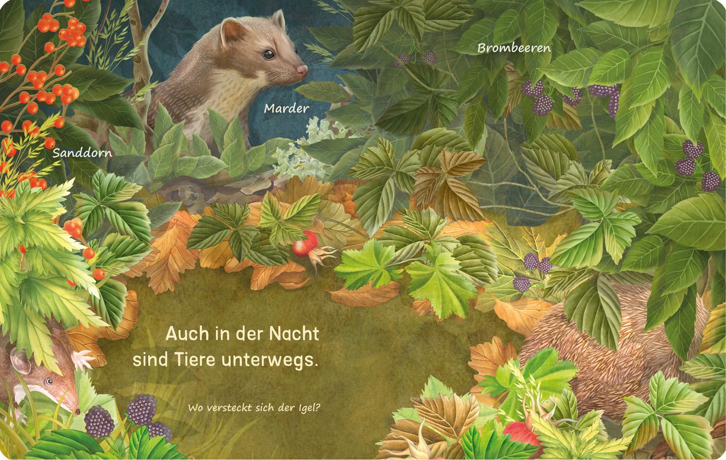 Bild: 9783707452990 | Es raschelt was im Laub | Mein erstes Buch vom Herbst | Jana Walczyk