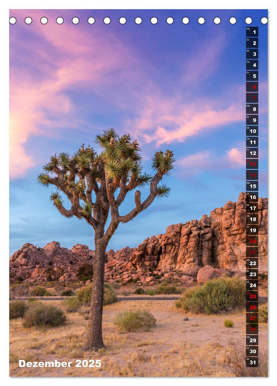 Bild: 9783435961108 | Impressionen aus dem JOSHUA TREE NATIONAL PARK (Tischkalender 2025...