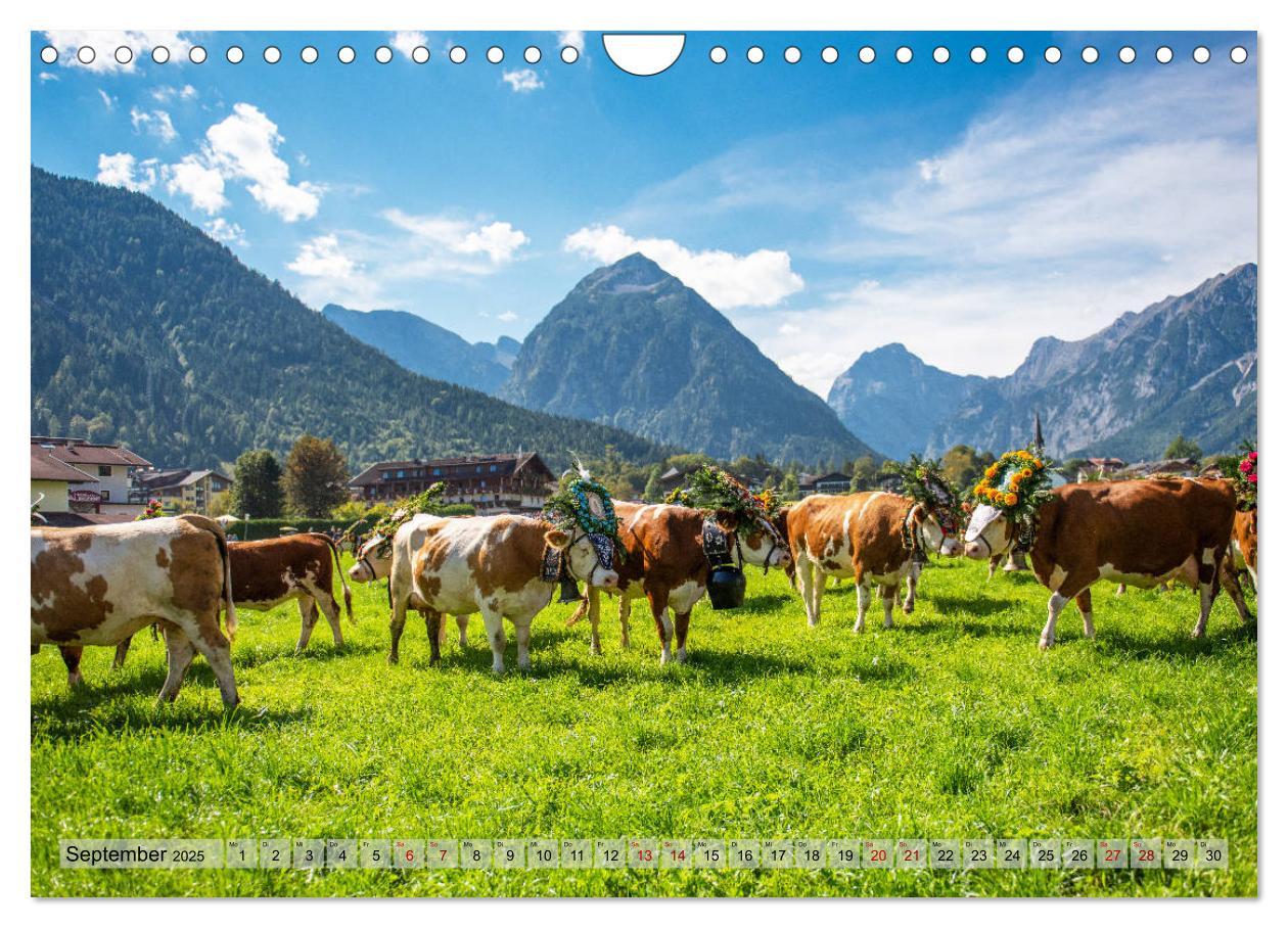 Bild: 9783435228317 | Achensee - im Herzen der Tiroler Alpen (Wandkalender 2025 DIN A4...