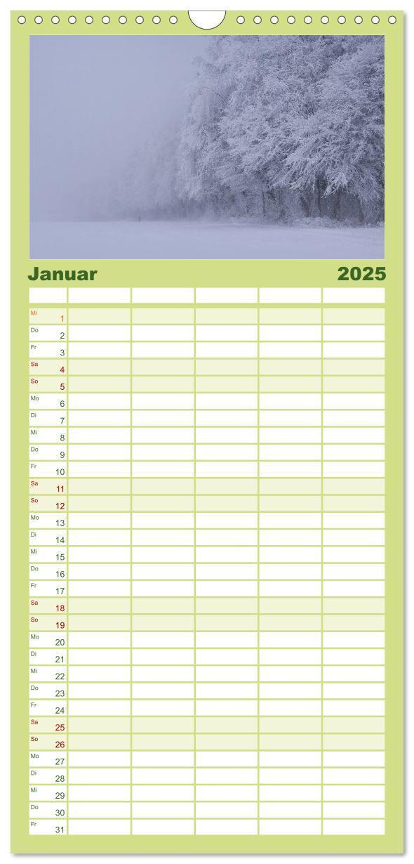 Bild: 9783457117453 | Familienplaner 2025 - Mysterium Wald mit 5 Spalten (Wandkalender,...