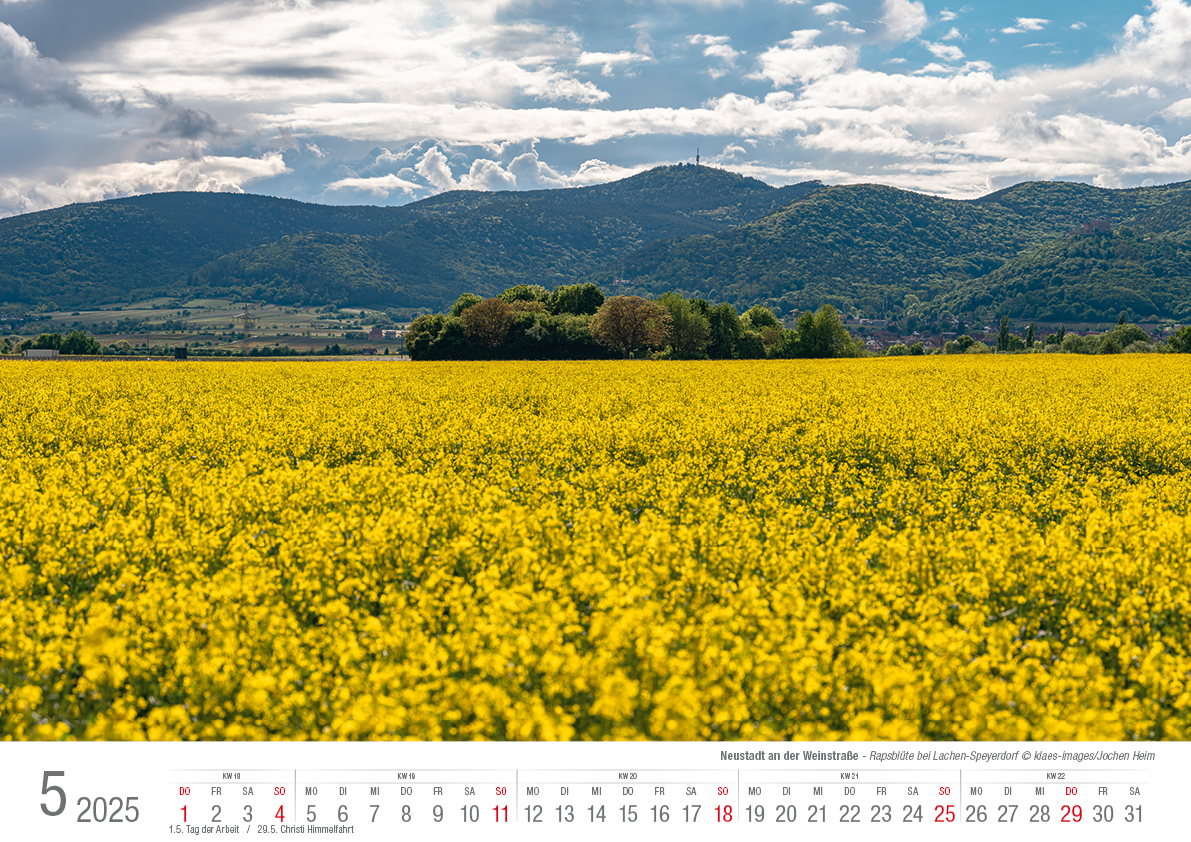 Bild: 9783965352339 | Neustadt a. d. Weinstraße 2025 Bildkalender A3 Spiralbindung | Klaes