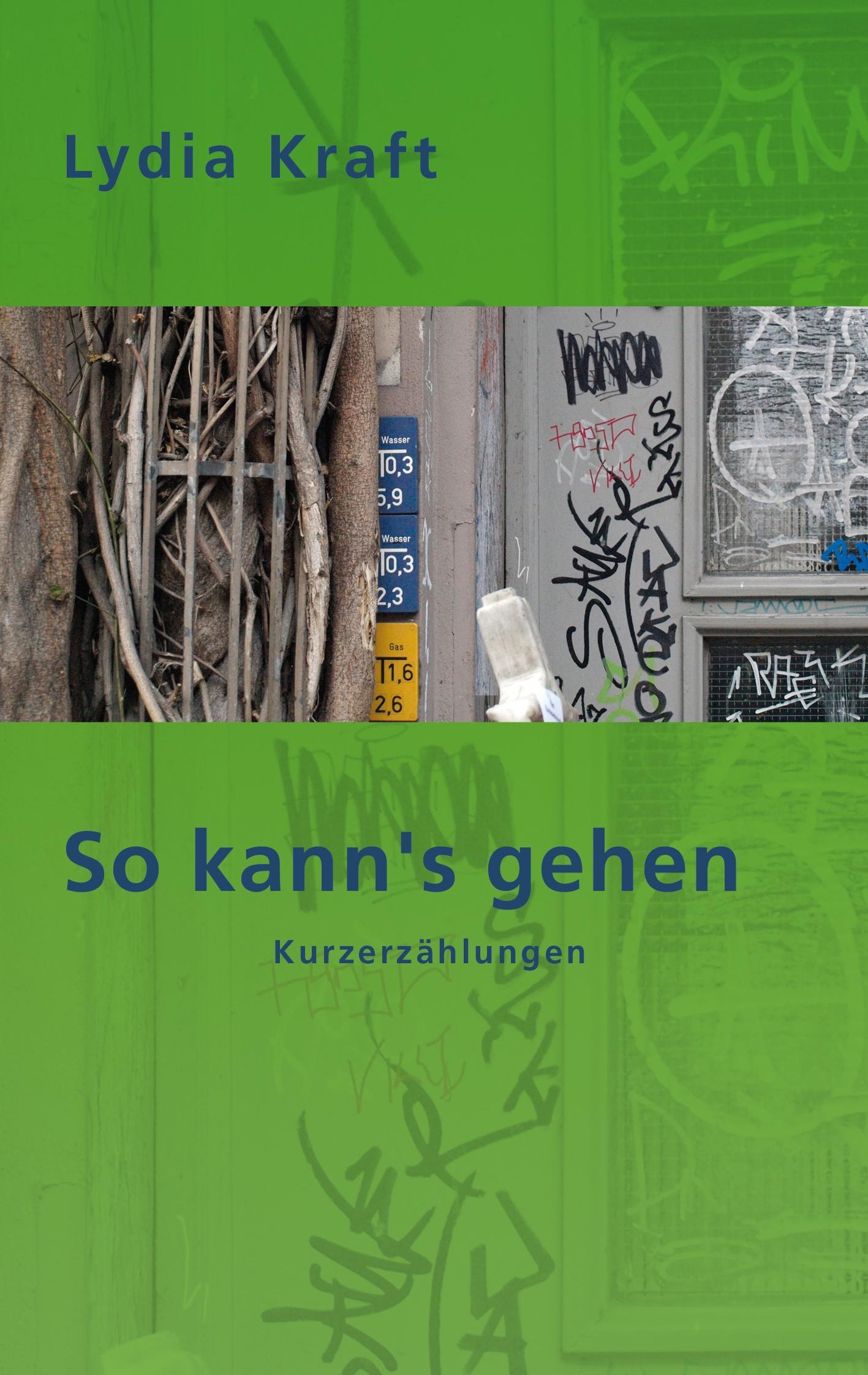 Cover: 9783743102576 | So kann's gehen | Kurzerzählungen | Lydia Kraft | Taschenbuch | 240 S.