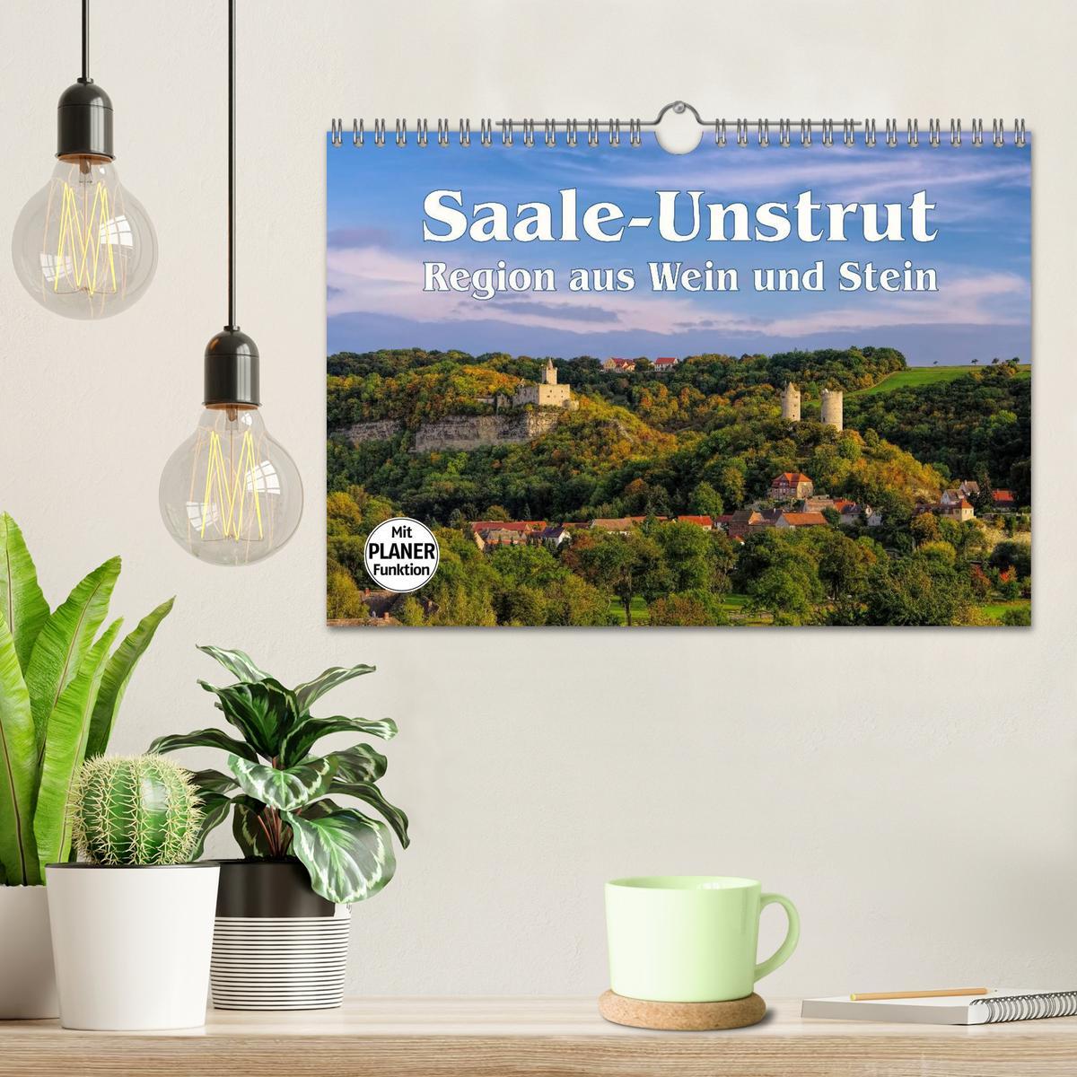 Bild: 9783435508006 | Saale-Unstrut - Region aus Wein und Stein (Wandkalender 2025 DIN A4...