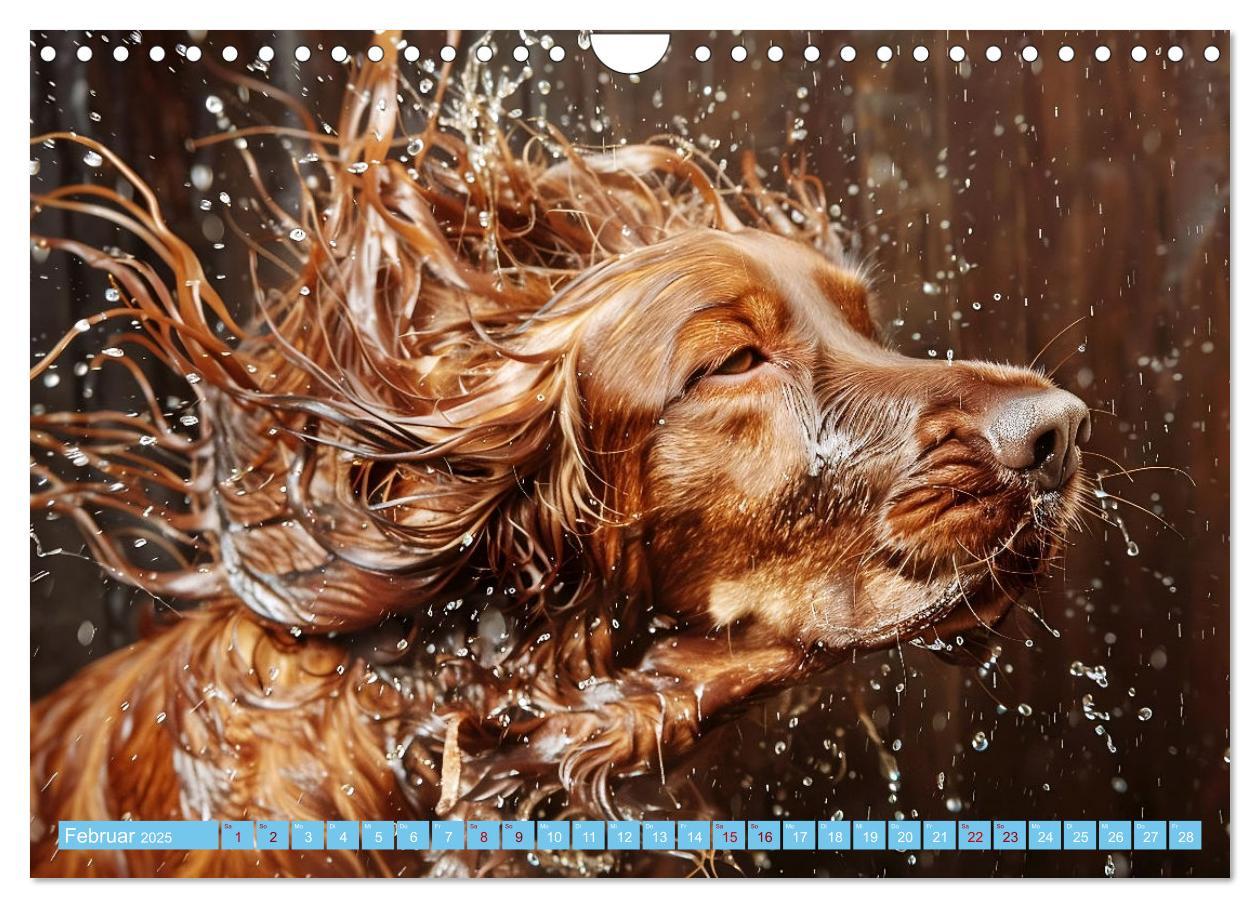 Bild: 9783457129227 | Hunde und Wasser (Wandkalender 2025 DIN A4 quer), CALVENDO...