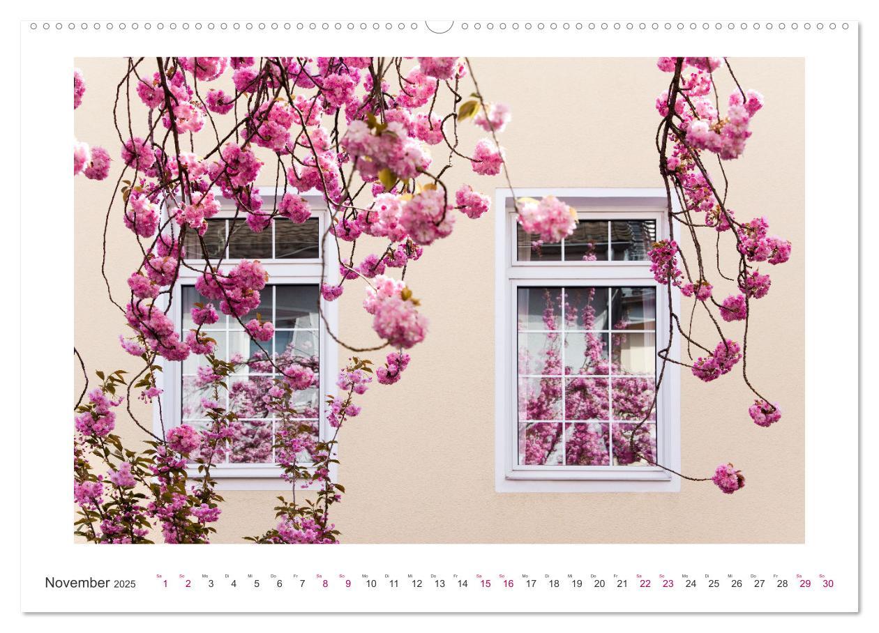 Bild: 9783457127919 | Japanische Kirschblüte in Bonn (Wandkalender 2025 DIN A2 quer),...