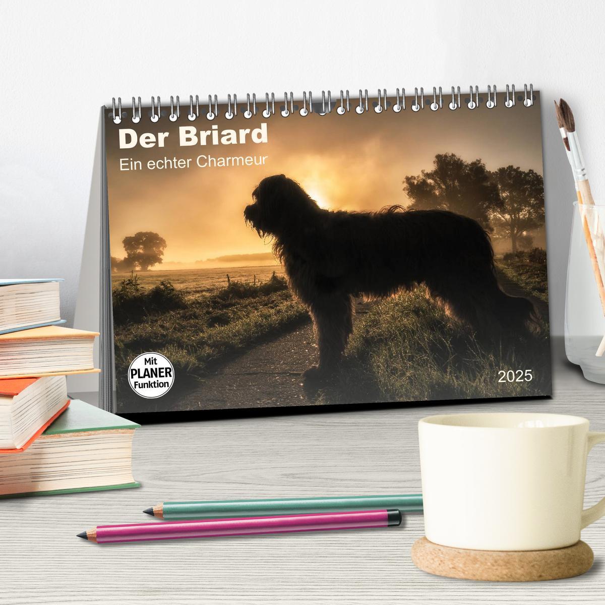 Bild: 9783435468775 | Der Briard 2025 - Ein echter Charmeur (Tischkalender 2025 DIN A5...