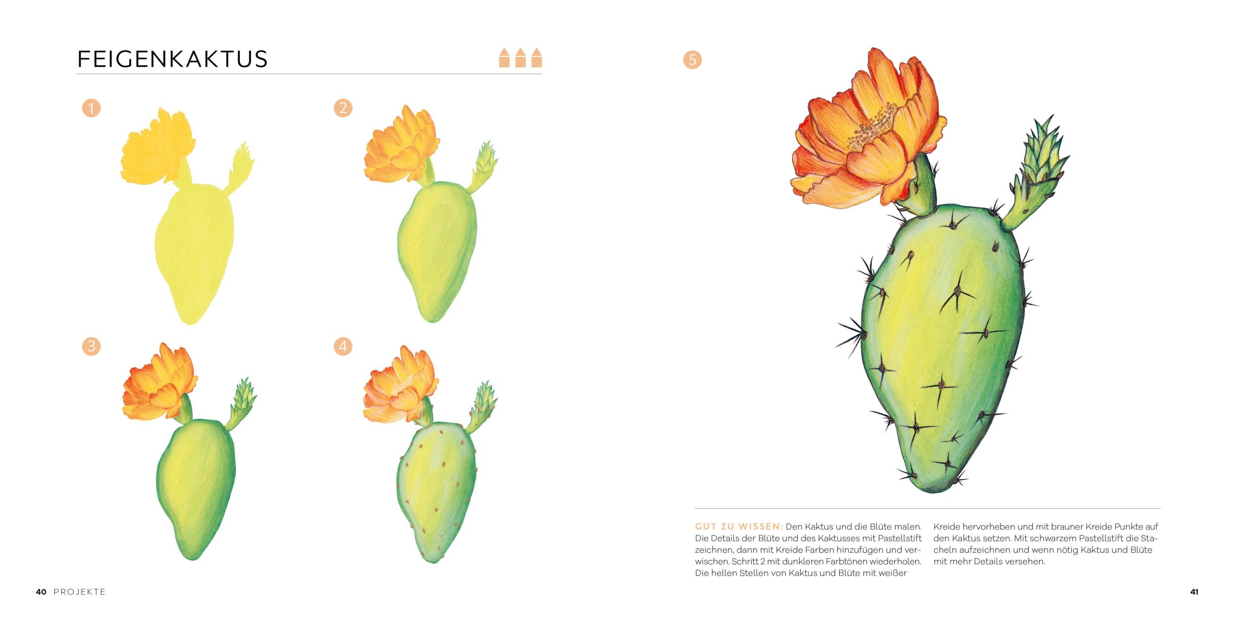 Bild: 9783960932895 | 50 x Pastell - Motive von klassisch bis modern | Eunhye Kim | Buch