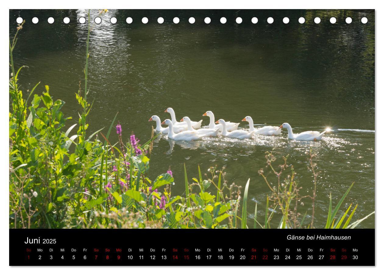 Bild: 9783435431304 | Die Amper - Ansichten eines bayerischen Flusses (Tischkalender 2025...