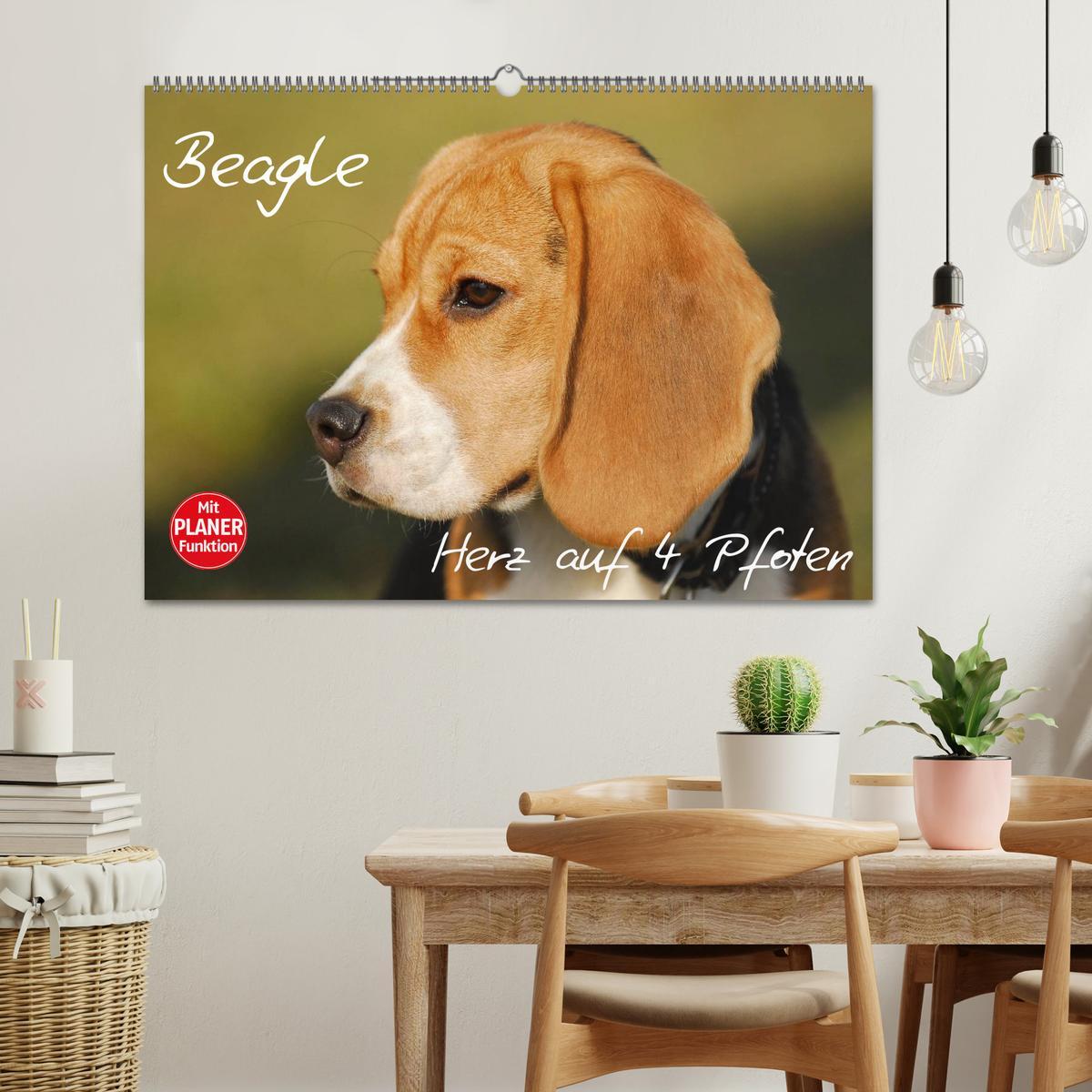 Bild: 9783435540884 | Beagle - Herz auf 4 Pfoten (Wandkalender 2025 DIN A2 quer),...