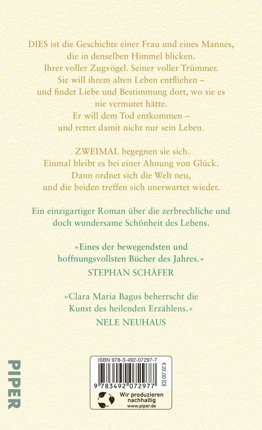 Rückseite: 9783492072977 | Die Unvollkommenheit des Glücks | Clara Maria Bagus | Buch | 416 S.