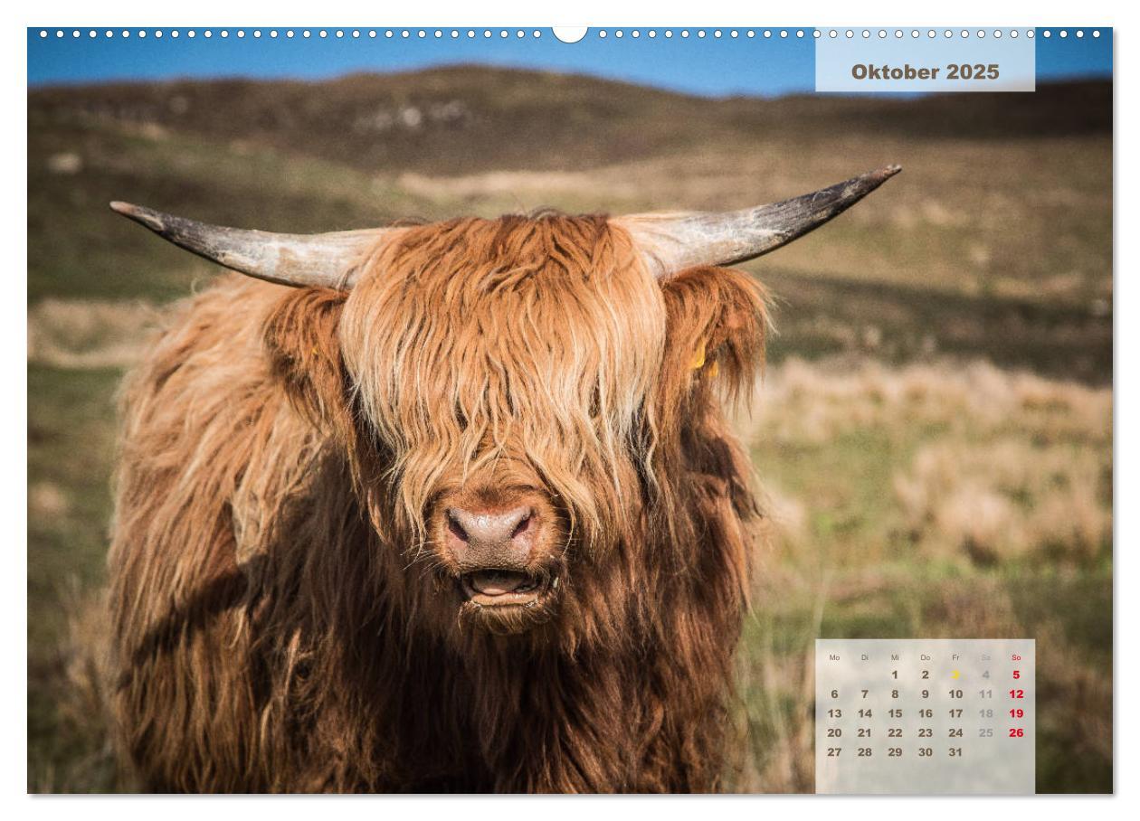 Bild: 9783435368624 | Rauhes Schottland (Wandkalender 2025 DIN A2 quer), CALVENDO...