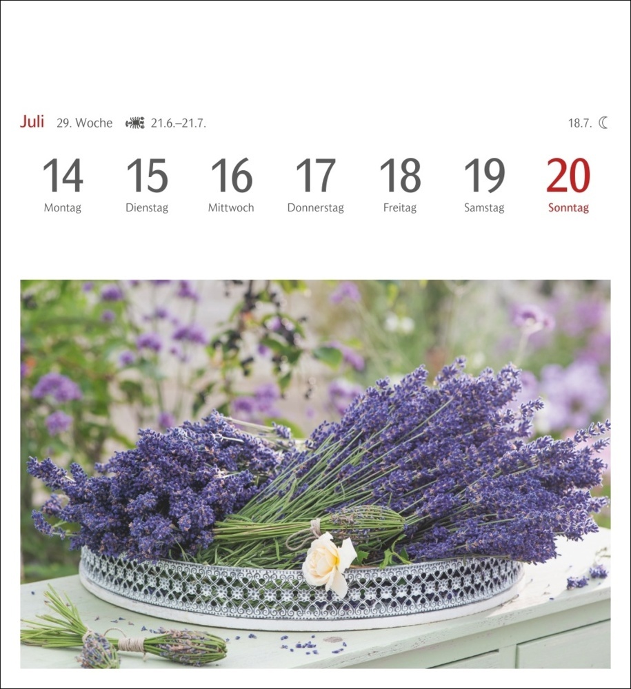 Bild: 9783840034541 | Blumenpracht Postkartenkalender 2025 - Wochenkalender mit 53...