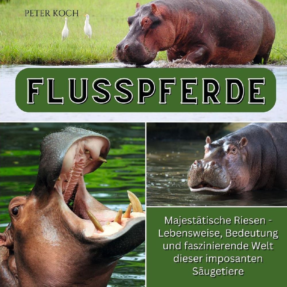 Cover: 9783750563049 | Flusspferde | Peter Koch | Taschenbuch | 80 S. | Deutsch | 2024