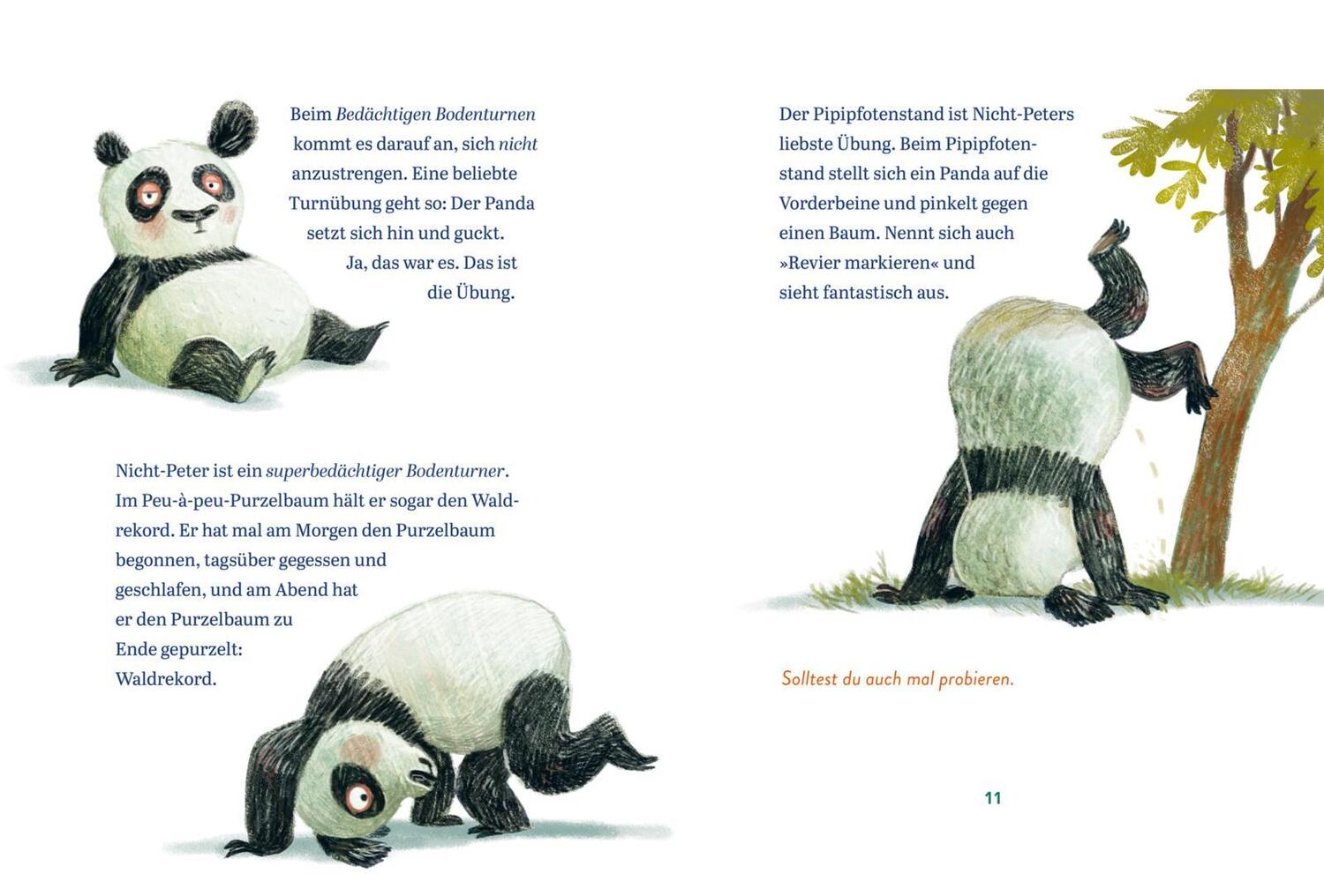 Bild: 9783551521804 | Panda-Pand | Sasa Stanisic | Buch | 80 S. | Deutsch | 2021