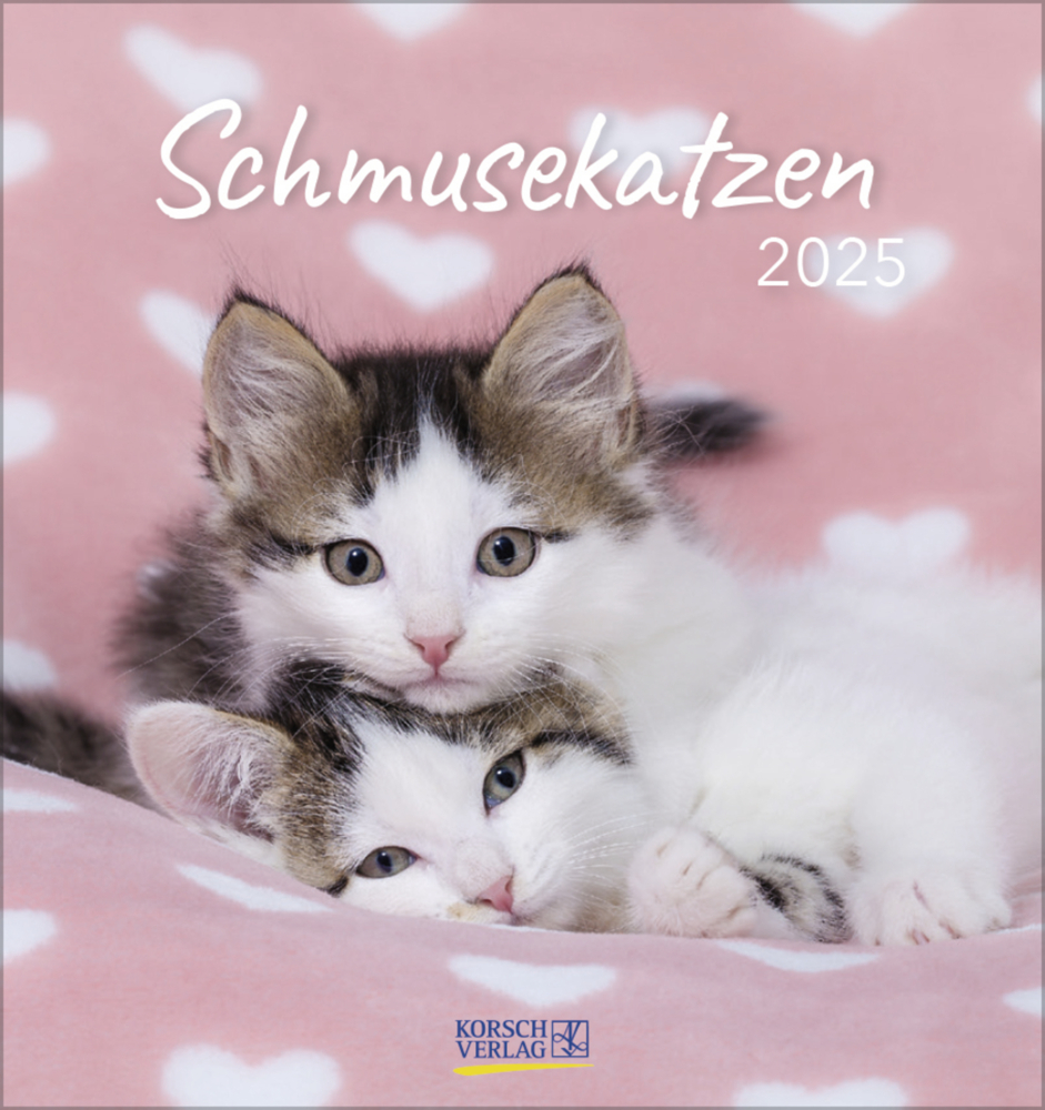 Cover: 9783731876724 | Schmusekatzen 2025 | aufstellbarer Postkartenkalender | Korsch Verlag