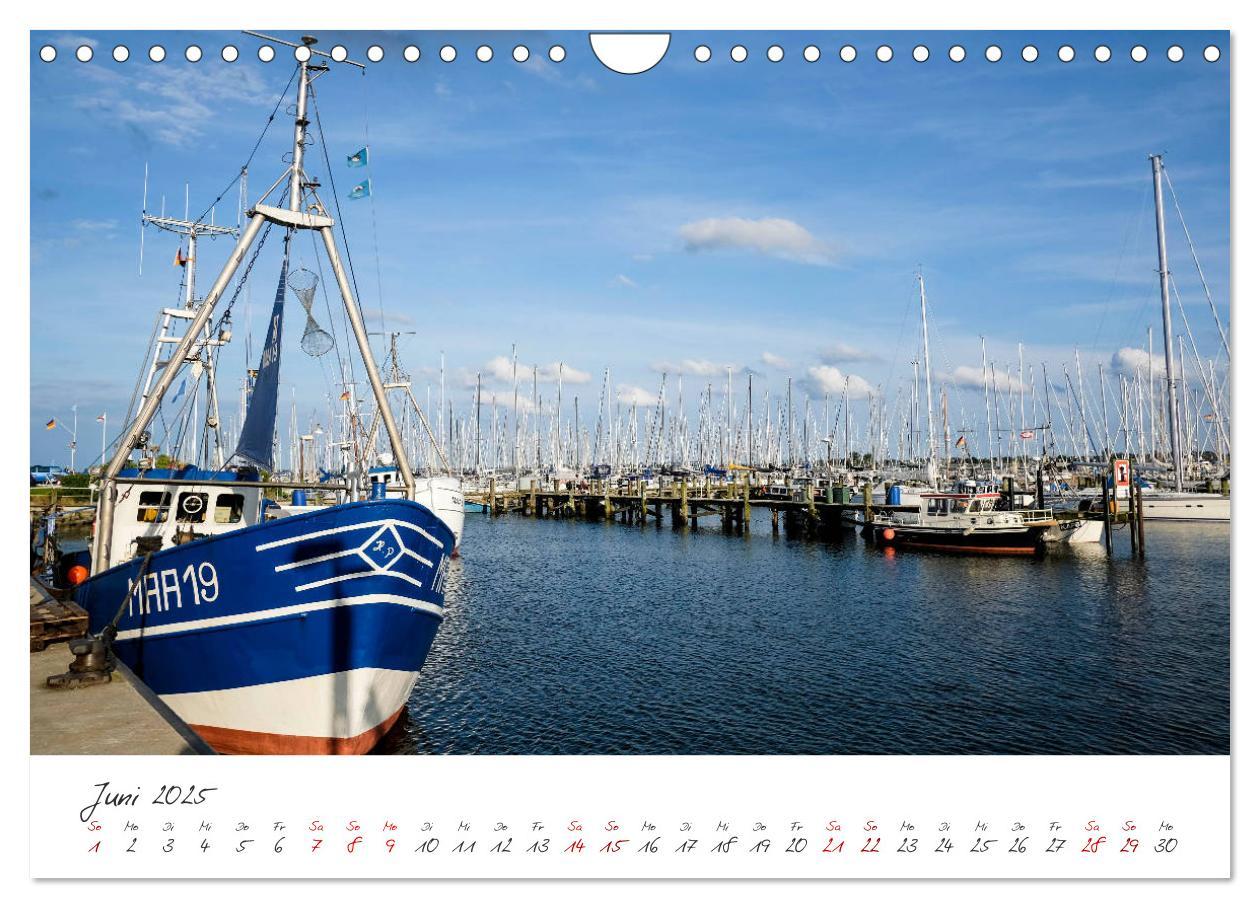 Bild: 9783435444274 | Maasholm - der Fischerort an Schlei und Ostsee (Wandkalender 2025...