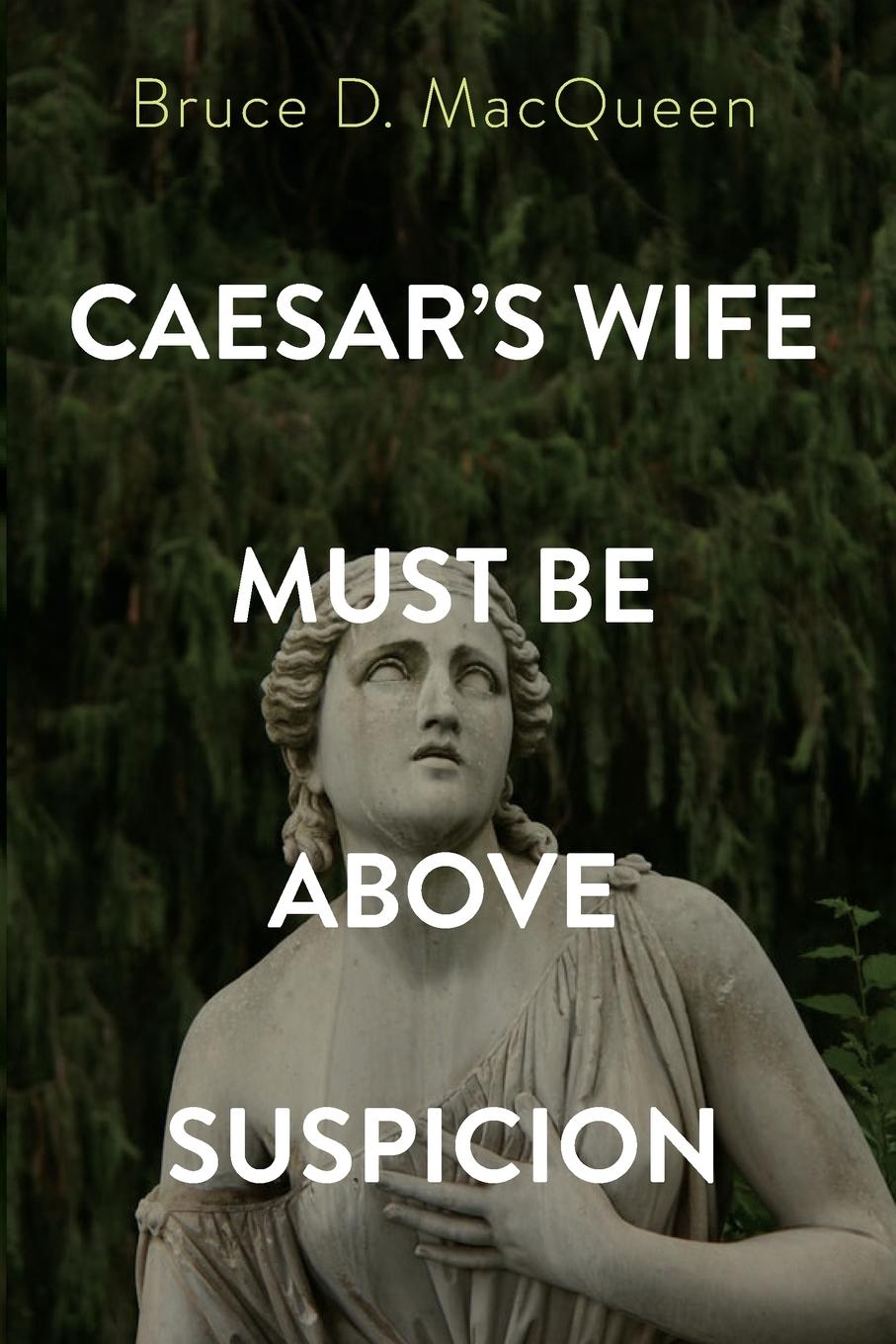 Cover: 9781666707397 | Caesar's Wife Must Be Above Suspicion | Bruce D. Macqueen | Buch