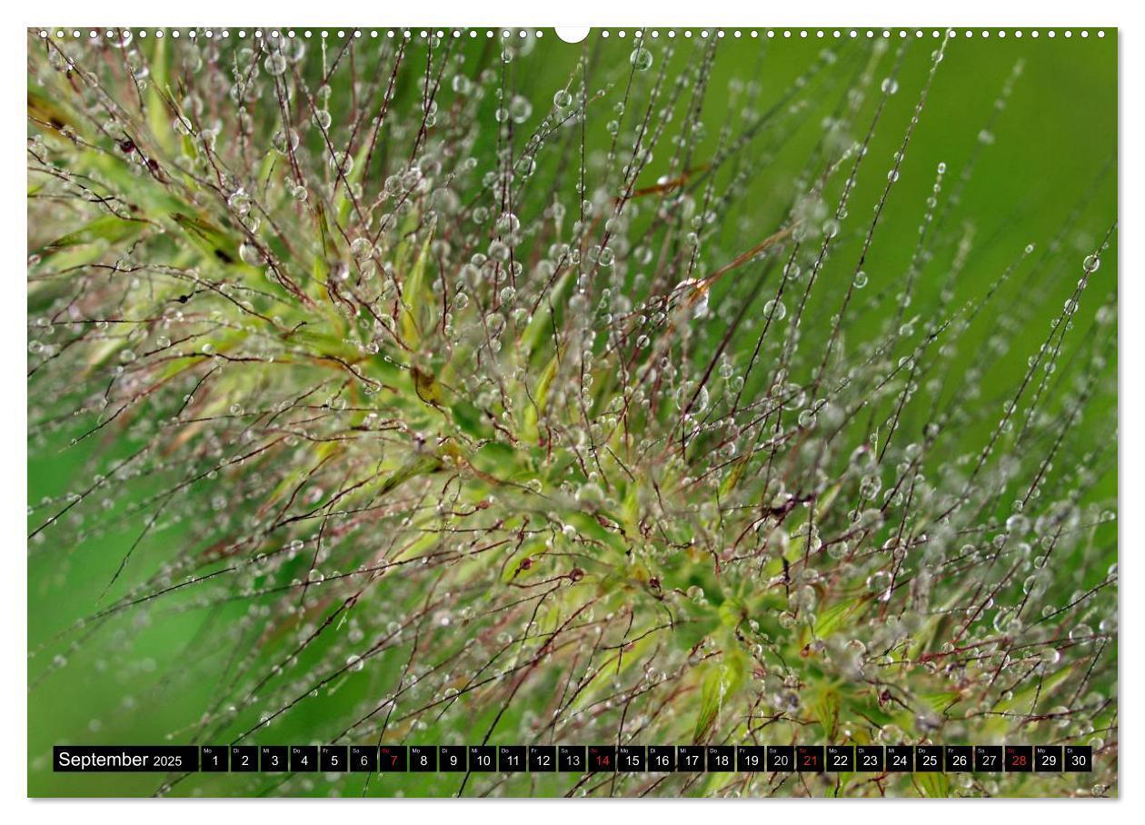 Bild: 9783435550012 | Wassertropfen - Diamanten des Lebens (Wandkalender 2025 DIN A2...