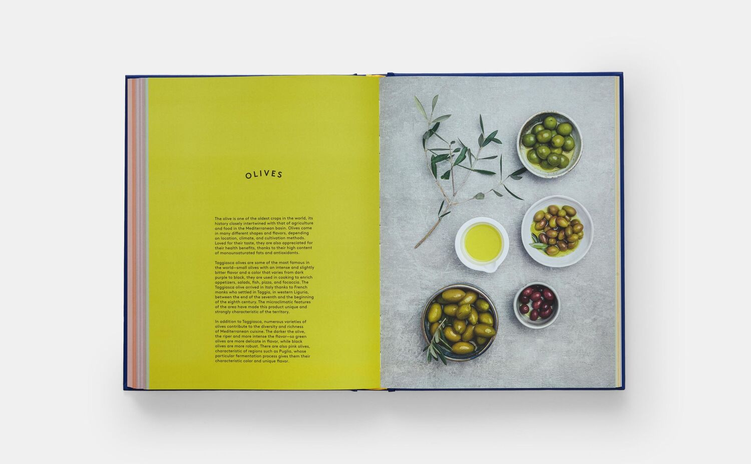 Bild: 9781838668846 | The Book of Pasta | Barilla Academia (u. a.) | Buch | Phaidon Press