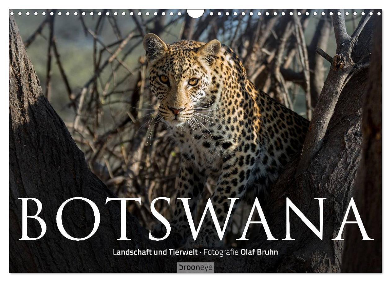 Cover: 9783435725472 | Botswana ¿ Landschaft und Tierwelt (Wandkalender 2025 DIN A3 quer),...