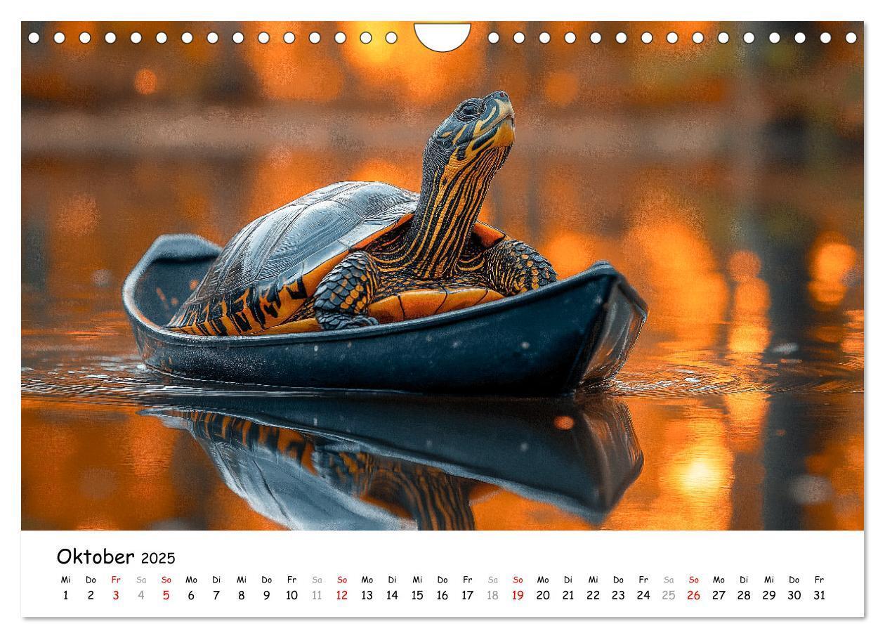 Bild: 9783457215784 | CHILL MAL - Entspannte Schildkröten beim Faulenzen (Wandkalender...