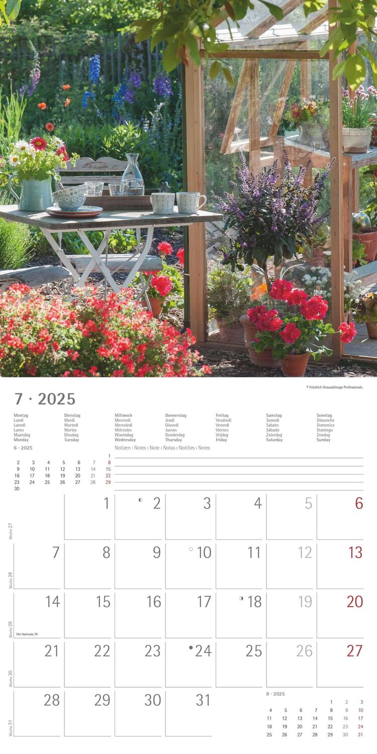 Bild: 4251732340636 | Garden &amp; Decoration 2025 - Broschürenkalender 30x30 cm (30x60...