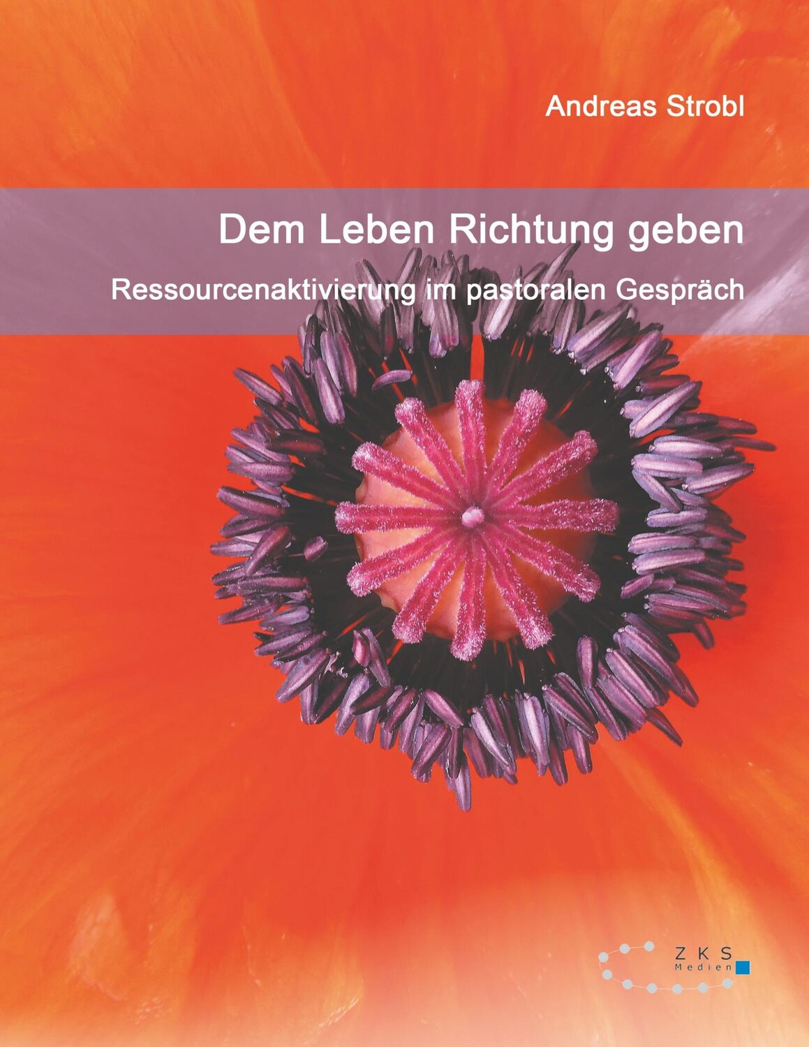 Cover: 9783947502981 | Dem Leben Richtung geben ¿ Ressourcenaktivierung im pastoralen...