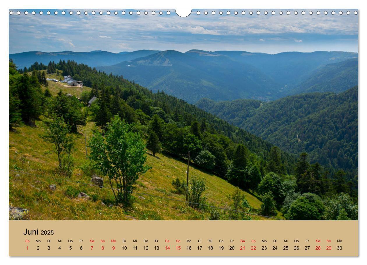 Bild: 9783435205240 | Landschaften im Elsass (Wandkalender 2025 DIN A3 quer), CALVENDO...