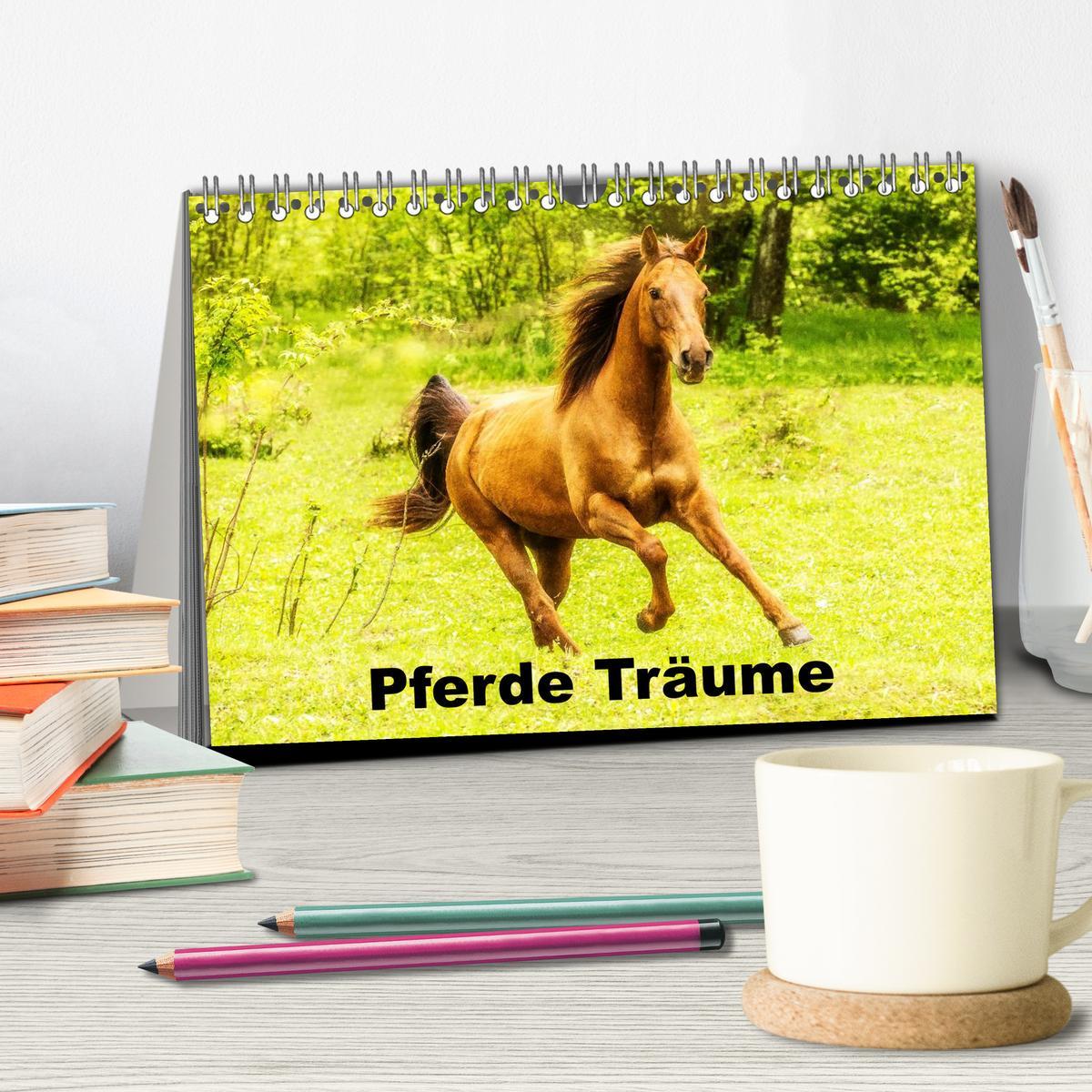 Bild: 9783435698653 | Pferde Träume (Tischkalender 2025 DIN A5 quer), CALVENDO...