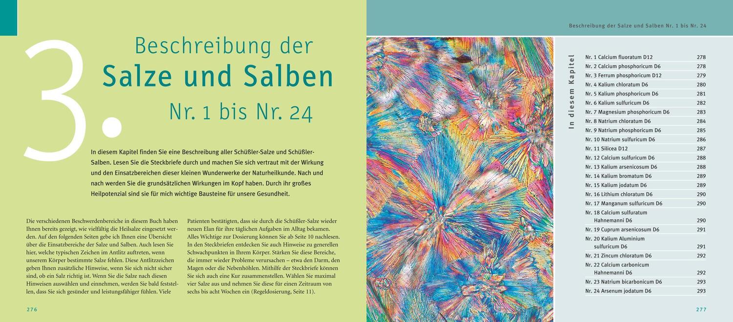 Bild: 9783833845680 | Maxi-Quickfinder Schüßler-Salze | Günther H. Heepen | Buch | 312 S.